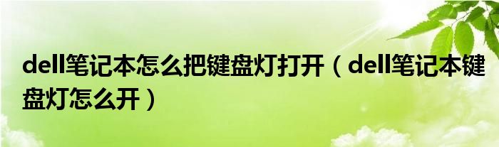 dell筆記本怎么把鍵盤燈打開（dell筆記本鍵盤燈怎么開）