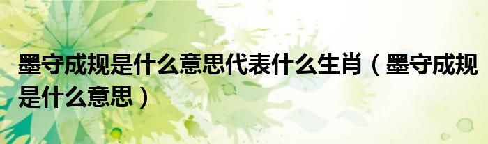 墨守成規(guī)是什么意思代表什么生肖（墨守成規(guī)是什么意思）