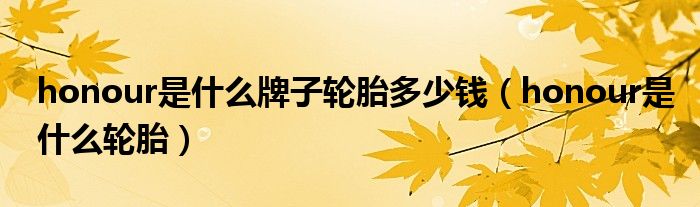 honour是什么牌子輪胎多少錢（honour是什么輪胎）