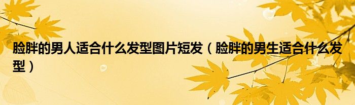 臉胖的男人適合什么發(fā)型圖片短發(fā)（臉胖的男生適合什么發(fā)型）