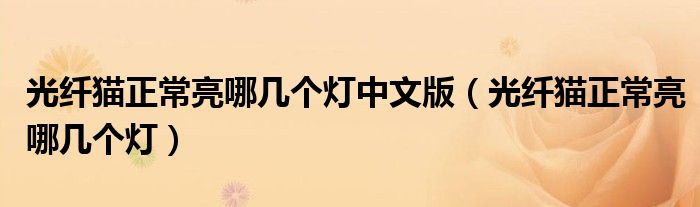 光纖貓正常亮哪幾個(gè)燈中文版（光纖貓正常亮哪幾個(gè)燈）