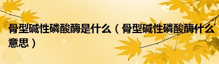 骨型堿性磷酸酶是什么（骨型堿性磷酸酶什么意思）