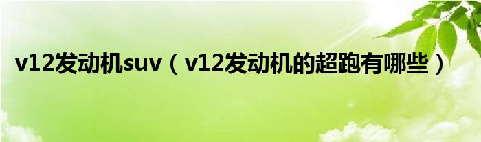 v12發(fā)動(dòng)機(jī)suv（v12發(fā)動(dòng)機(jī)的超跑有哪些）
