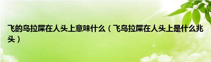 飛的鳥拉屎在人頭上意味什么（飛鳥拉屎在人頭上是什么兆頭）