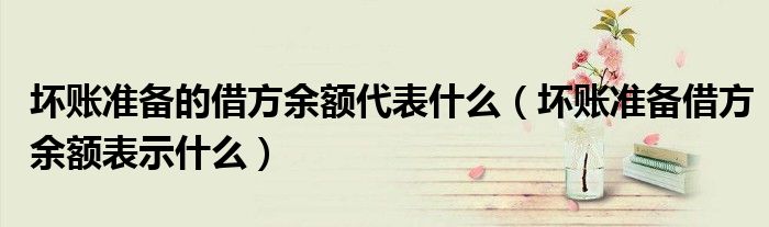 壞賬準(zhǔn)備的借方余額代表什么（壞賬準(zhǔn)備借方余額表示什么）