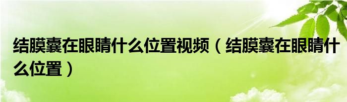 結(jié)膜囊在眼睛什么位置視頻（結(jié)膜囊在眼睛什么位置）