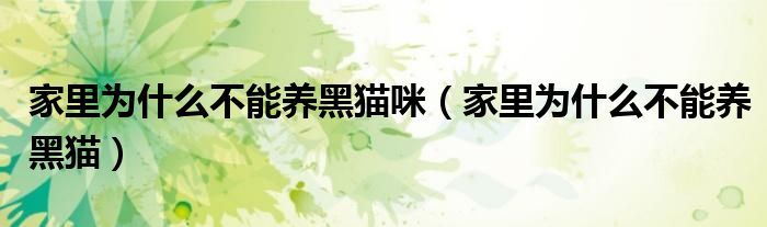 家里為什么不能養(yǎng)黑貓咪（家里為什么不能養(yǎng)黑貓）