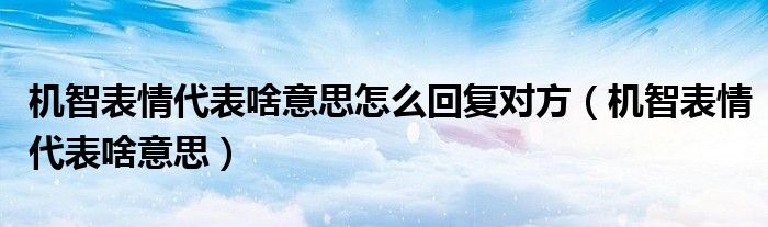 機智表情代表啥意思怎么回復對方（機智表情代表啥意思）
