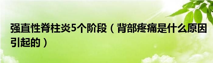 強直性脊柱炎5個階段（背部疼痛是什么原因引起的）
