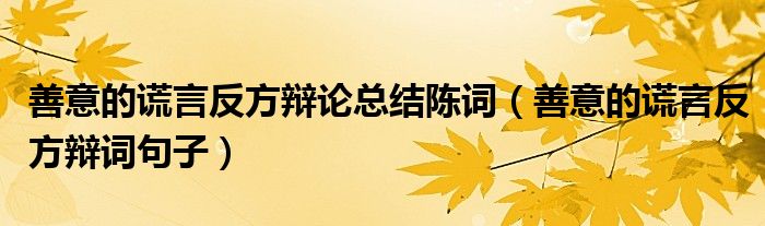 善意的謊言反方辯論總結(jié)陳詞（善意的謊言反方辯詞句子）