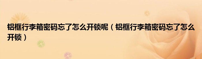 鋁框行李箱密碼忘了怎么開鎖呢（鋁框行李箱密碼忘了怎么開鎖）