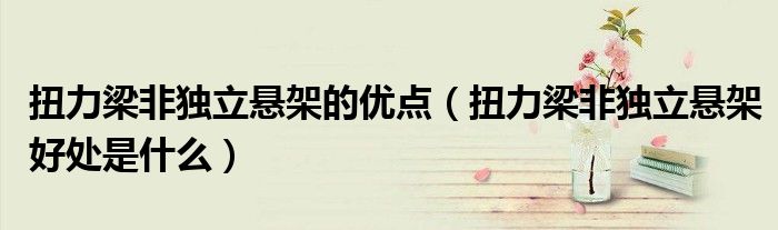 扭力梁非獨(dú)立懸架的優(yōu)點(diǎn)（扭力梁非獨(dú)立懸架好處是什么）