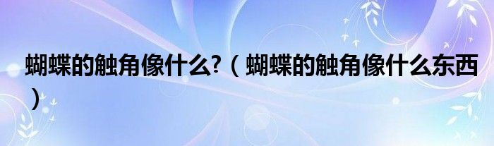 蝴蝶的觸角像什么?（蝴蝶的觸角像什么東西）