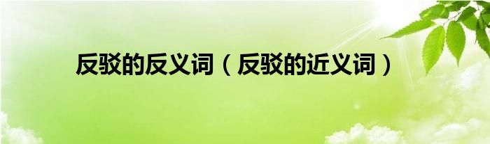 反駁的反義詞（反駁的近義詞）