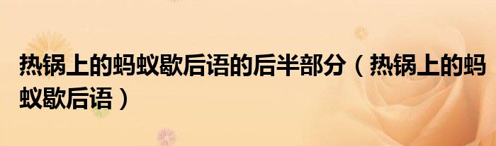 熱鍋上的螞蟻歇后語的后半部分（熱鍋上的螞蟻歇后語）