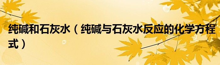 純堿和石灰水（純堿與石灰水反應(yīng)的化學(xué)方程式）