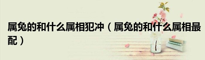 屬兔的和什么屬相犯沖（屬兔的和什么屬相最配）