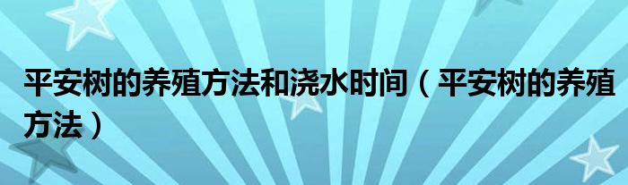 平安樹的養(yǎng)殖方法和澆水時(shí)間（平安樹的養(yǎng)殖方法）