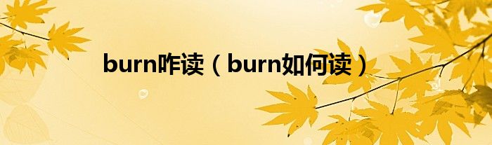 burn咋讀（burn如何讀）