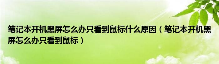 筆記本開機黑屏怎么辦只看到鼠標什么原因（筆記本開機黑屏怎么辦只看到鼠標）