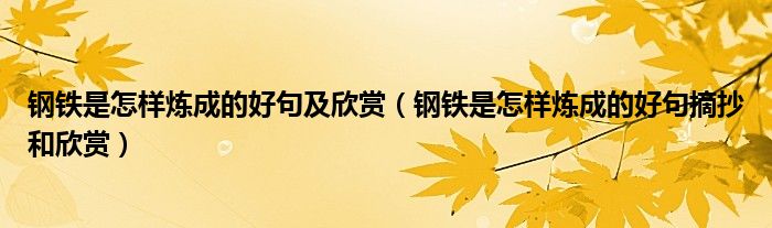 鋼鐵是怎樣煉成的好句及欣賞（鋼鐵是怎樣煉成的好句摘抄和欣賞）