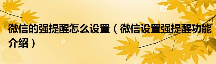微信的強(qiáng)提醒怎么設(shè)置（微信設(shè)置強(qiáng)提醒功能介紹）