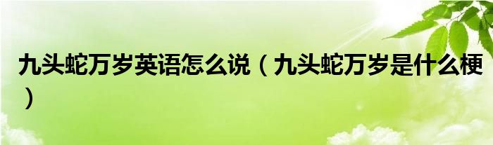 九頭蛇萬歲英語怎么說（九頭蛇萬歲是什么梗）