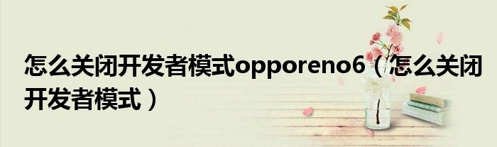 怎么關閉開發(fā)者模式opporeno6（怎么關閉開發(fā)者模式）