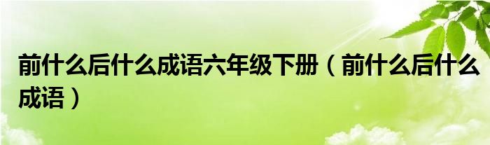 前什么后什么成語六年級下冊（前什么后什么成語）