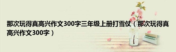 那次玩得真高興作文300字三年級上冊打雪仗（那次玩得真高興作文300字）