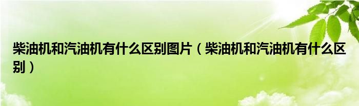柴油機(jī)和汽油機(jī)有什么區(qū)別圖片（柴油機(jī)和汽油機(jī)有什么區(qū)別）