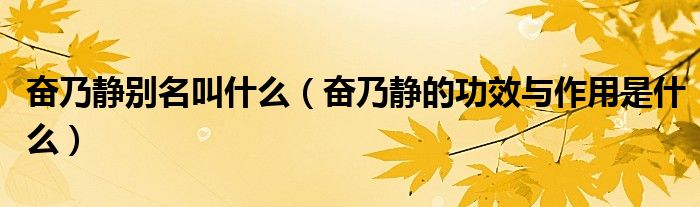 奮乃靜別名叫什么（奮乃靜的功效與作用是什么）