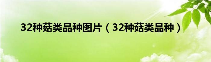 32種菇類品種圖片（32種菇類品種）