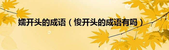 嬬開頭的成語（悛開頭的成語有嗎）