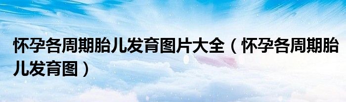 懷孕各周期胎兒發(fā)育圖片大全（懷孕各周期胎兒發(fā)育圖）