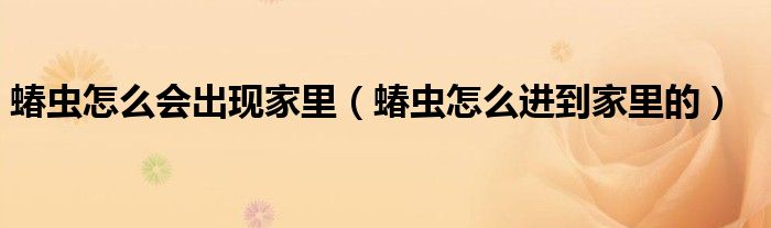 蝽蟲怎么會出現(xiàn)家里（蝽蟲怎么進(jìn)到家里的）