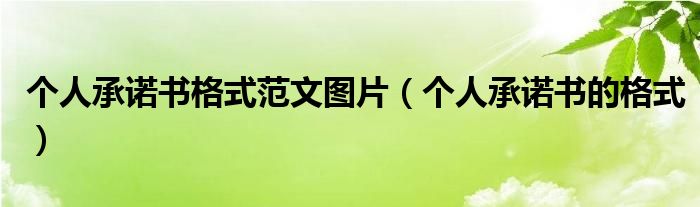 個人承諾書格式范文圖片（個人承諾書的格式）