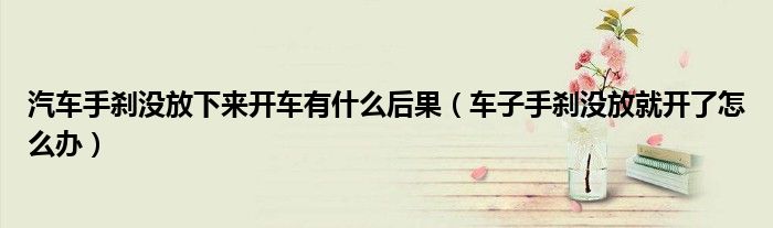 汽車手剎沒放下來開車有什么后果（車子手剎沒放就開了怎么辦）