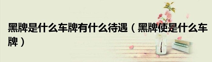 黑牌是什么車牌有什么待遇（黑牌使是什么車牌）