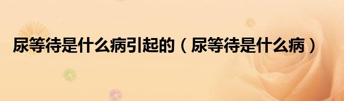 尿等待是什么病引起的（尿等待是什么?。? />
                                         </a>
                                    </div>
                                 <div   id=