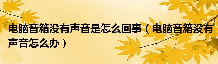 電腦音箱沒(méi)有聲音是怎么回事（電腦音箱沒(méi)有聲音怎么辦）