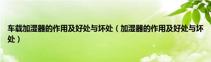 車載加濕器的作用及好處與壞處（加濕器的作用及好處與壞處）