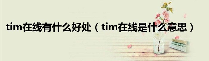 tim在線有什么好處（tim在線是什么意思）