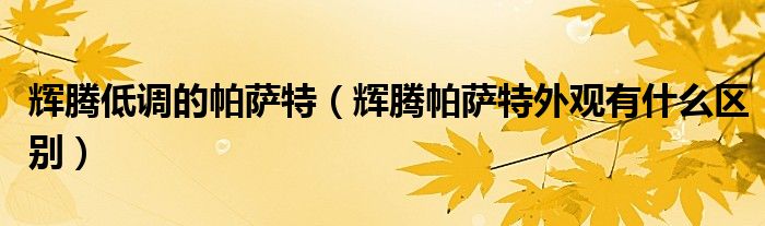輝騰低調(diào)的帕薩特（輝騰帕薩特外觀有什么區(qū)別）