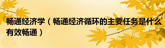 暢通經(jīng)濟學(xué)（暢通經(jīng)濟循環(huán)的主要任務(wù)是什么有效暢通）