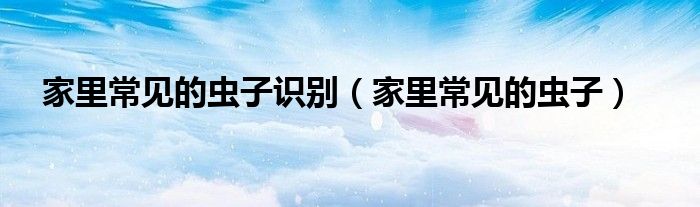家里常見的蟲子識別（家里常見的蟲子）