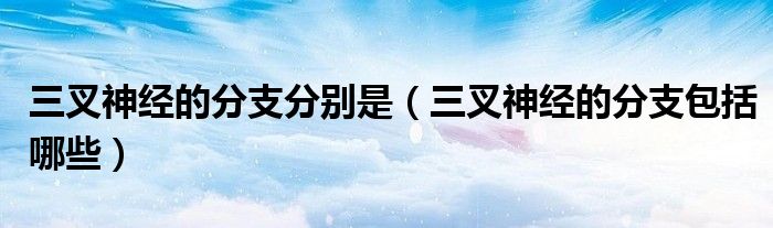 三叉神經(jīng)的分支分別是（三叉神經(jīng)的分支包括哪些）