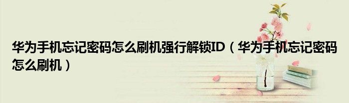 華為手機忘記密碼怎么刷機強行解鎖ID（華為手機忘記密碼怎么刷機）
