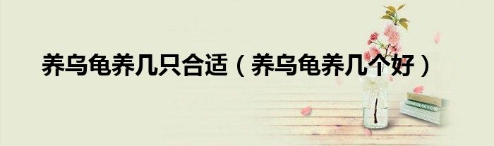 養(yǎng)烏龜養(yǎng)幾只合適（養(yǎng)烏龜養(yǎng)幾個(gè)好）
