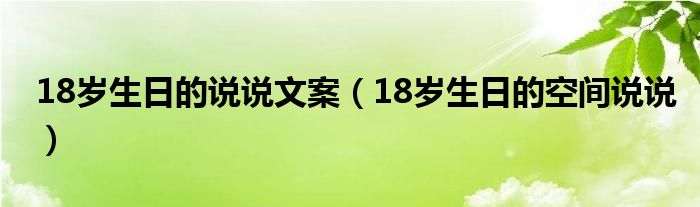 18歲生日的說(shuō)說(shuō)文案（18歲生日的空間說(shuō)說(shuō)）